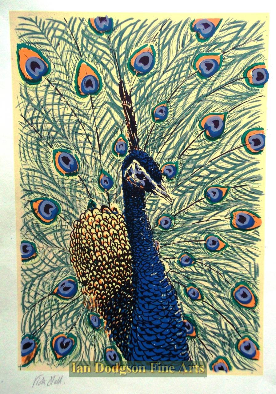 Beautiful ( Peacock) by Victoria Hall